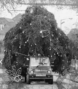 Schaden durch Weihnachtsbaum Transport